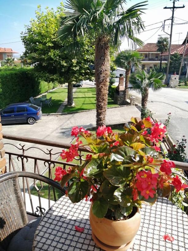Guesthouse Athanasiou Káto Loutrákion Екстериор снимка